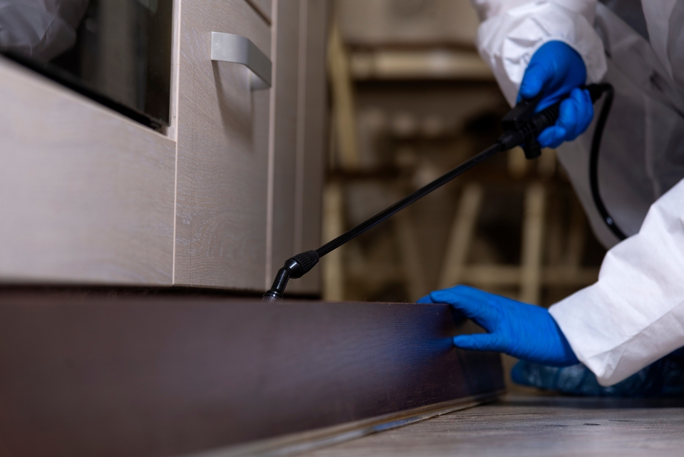 Técnico fumigando un mueble