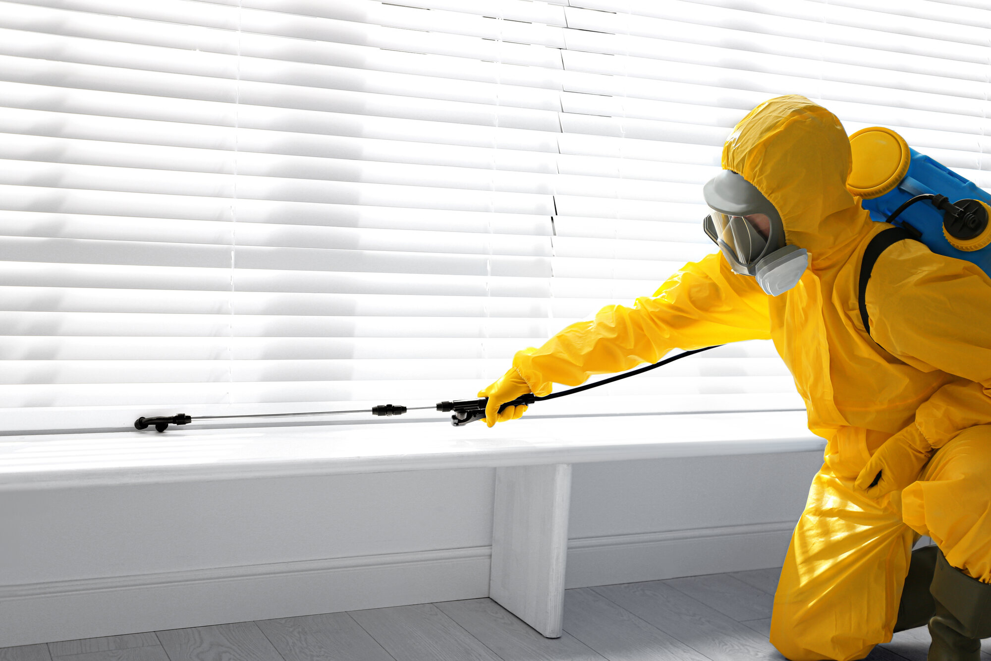 Experto en control de plagas con traje amarillo de seguridad fumigando unos estores